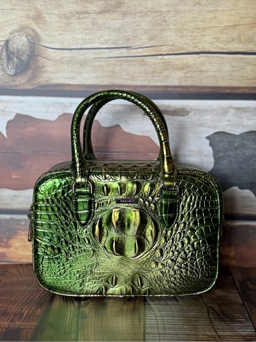 Firm ~~ 2x eyes Brahmin Mara Cacti Green Metallic Beauty NWT - Picture 14 of 16